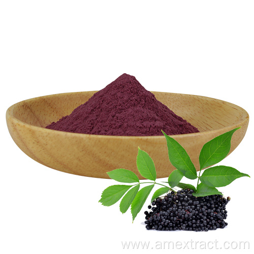 Black elderberry extract powder Improve immunity